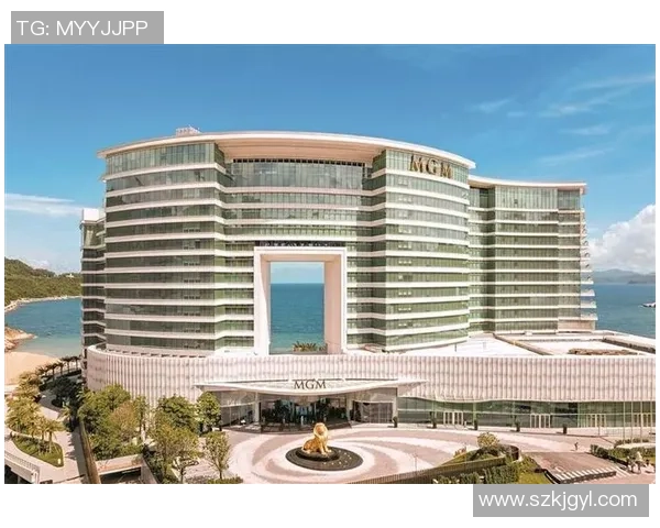 美高梅国际酒店集团在线业务拓展策略与市场前景分析